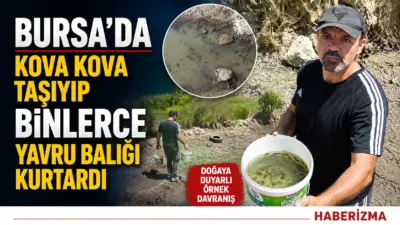 Bursalı doğa tutkunu Hasan Hacıoğlu (42) kuruyan deredeki binlerce yavru
