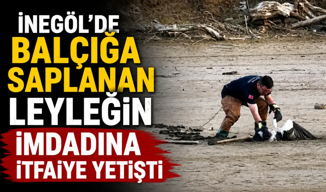 Bursa’nın İnegöl ilçesinde Boğazköy Barajı’nda balçıkta mahsur kalan leylek, balıkçıların