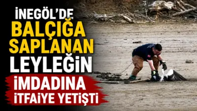 Bursa’nın İnegöl ilçesinde Boğazköy Barajı’nda balçıkta mahsur kalan leylek, balıkçıların