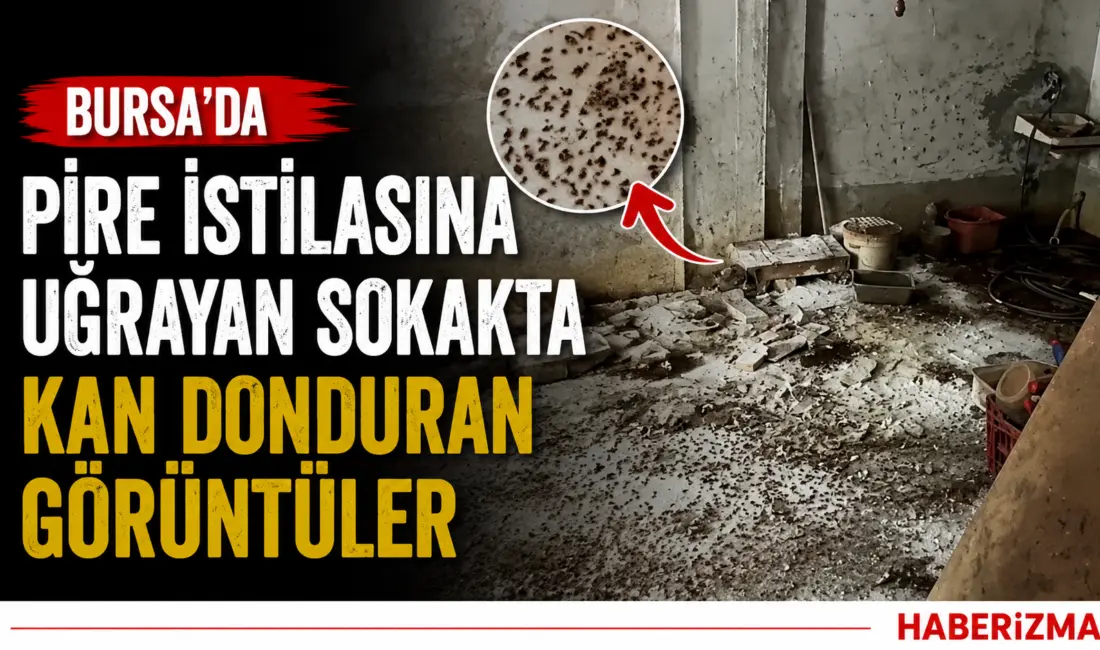 Bursa’nın Yıldırım ilçesinde hayvanların kötü şartlarda tutulduğu öne sürülen evden