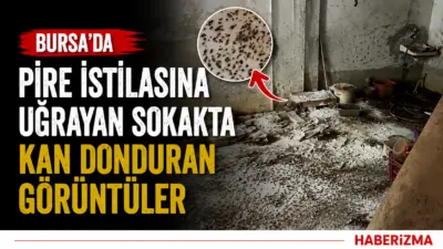 Bursa’nın Yıldırım ilçesinde hayvanların kötü şartlarda tutulduğu öne sürülen evden