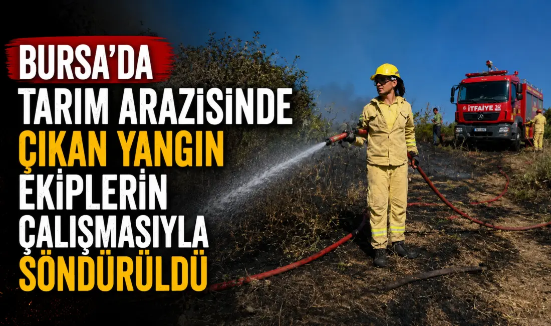 Bursa’nın Mudanya ilçesinde tarım arazisinde çıkan yangın, ekiplerin zamanında müdahalesiyle