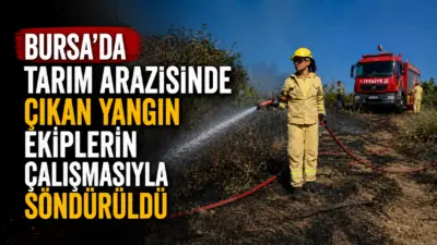 Bursa’nın Mudanya ilçesinde tarım arazisinde çıkan yangın, ekiplerin zamanında müdahalesiyle