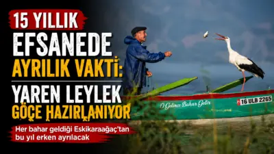 Bursa’nın Karacabey ilçesine bağlı Eskikarağaç (Leylek Köyü) Mahallesi’nde 15 yıldır