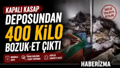 Muğla’nın Bodrum ilçesinde kötü koku ihbarı üzerine harekete geçen zabıta