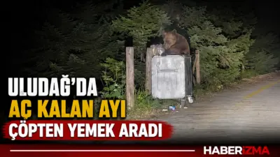 Türkiye’nin önemli turizm merkezlerinden Uludağ Milli Parklar bölgesinde aç kalan