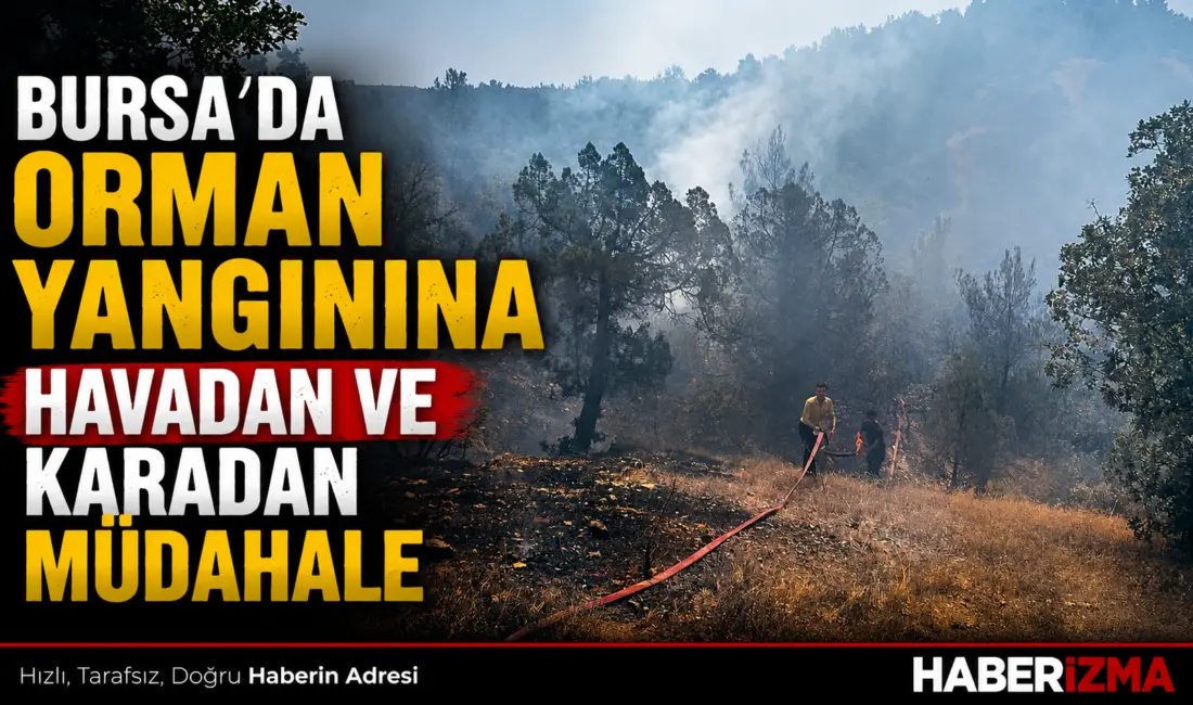 Bursa’nın Büyükorhan ilçesinde çıkan orman yangını, kontrol altına alındı. Bölgede