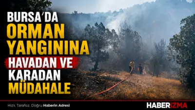 Bursa’nın Büyükorhan ilçesinde çıkan orman yangını, kontrol altına alındı. Bölgede