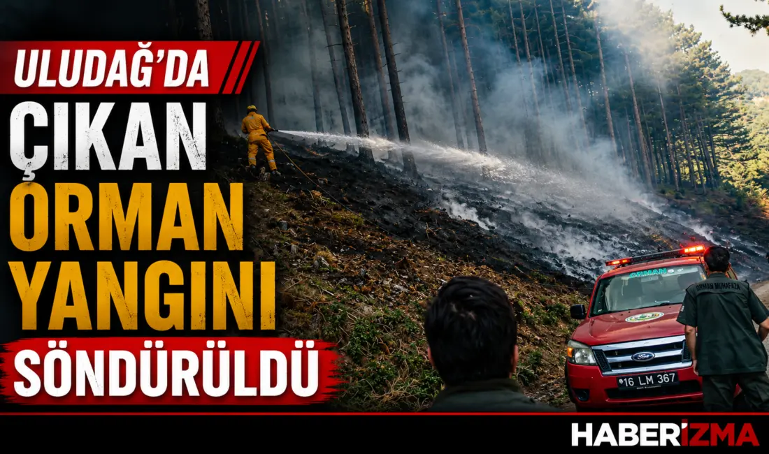 Uludağ’ın eteklerinde çıkan orman yangını, havadan ve karadan yapılan söndürme