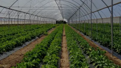 Bakan İbrahim Yumaklı, 1,2 milyar liralık yatırımla kurulan Adana Karataş
