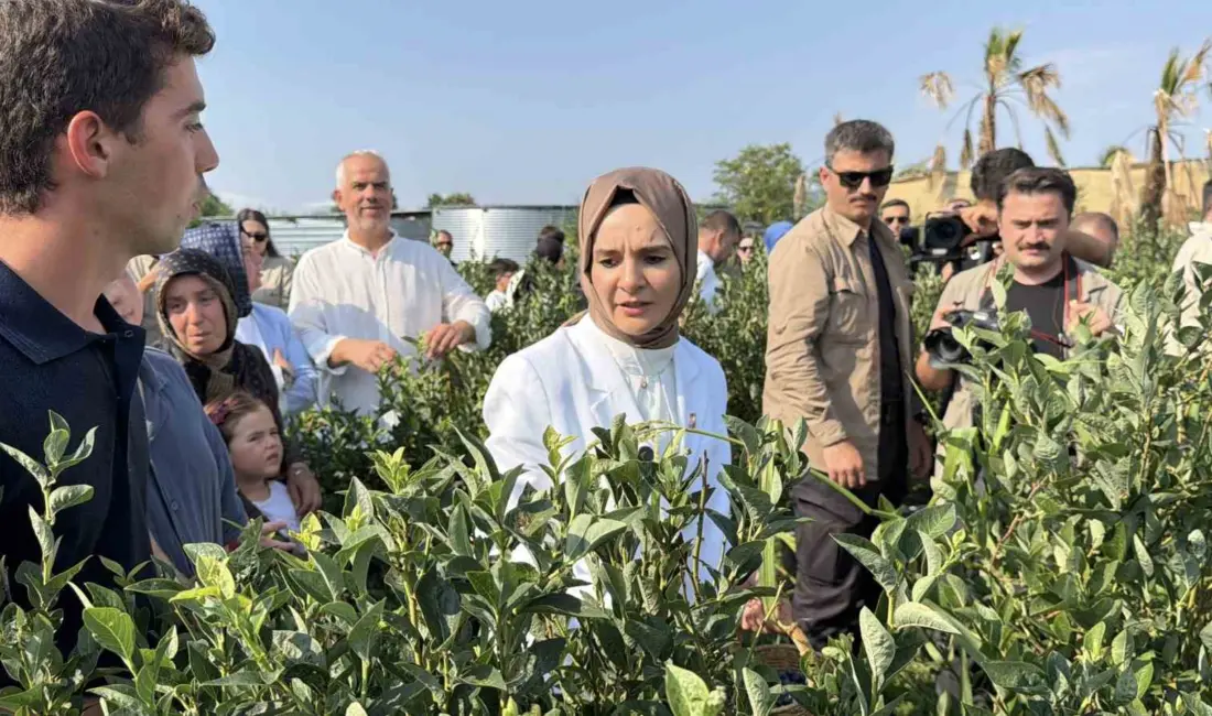 Aile ve Sosyal Hizmetler Bakanı Mahinur Özdemir Göktaş, Düzce’de ziyaret
