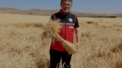 Tarım ve Orman Bakanı İbrahim Yumaklı, TMO'nun hububat alımları kapsamında