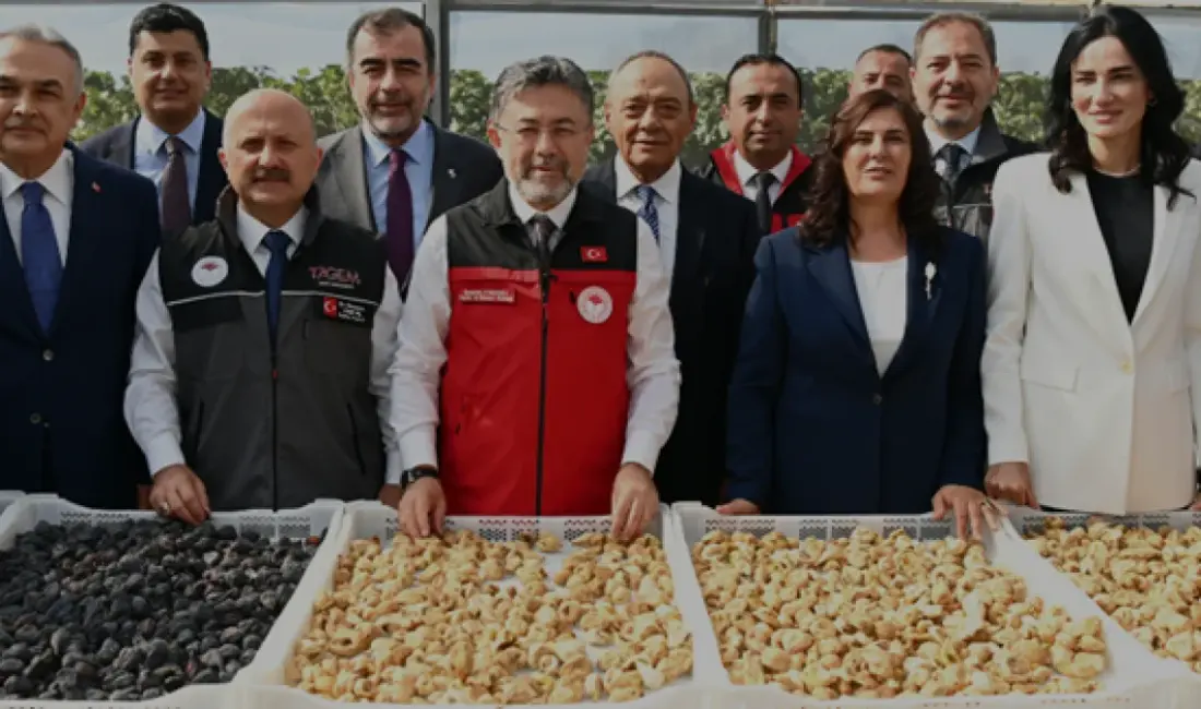 Tarım ve Orman Bakanı İbrahim Yumaklı, Türkiye'nin dünya incir üretiminde