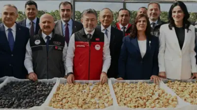 Tarım ve Orman Bakanı İbrahim Yumaklı, Türkiye'nin dünya incir üretiminde