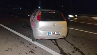 Yalova-Bursa karayolu Orhangazi Süpürgelik Mevkiinde meydana gelen trafik kazasında kontrolden