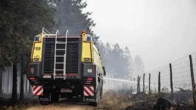 Belçika’da bugüne kadar kayıtlara geçen en büyük orman yangınında şu