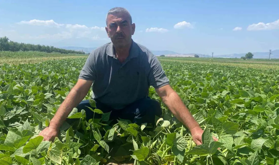 Bursa’da faaliyet gösteren bir tarımsal kalkınma kooperatifi, çiftçiye tohumdan hasada