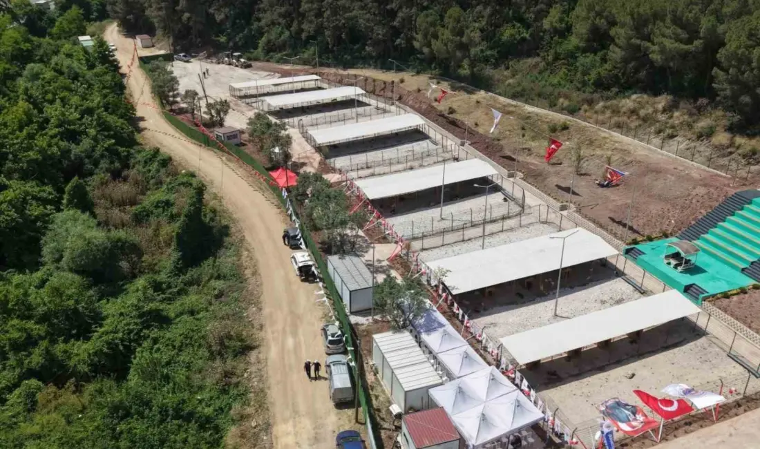 Bursa Hayvan Hakları Platformu, Gemlik Belediyesi Hayvan Yaşam Alanı’nın vatandaş