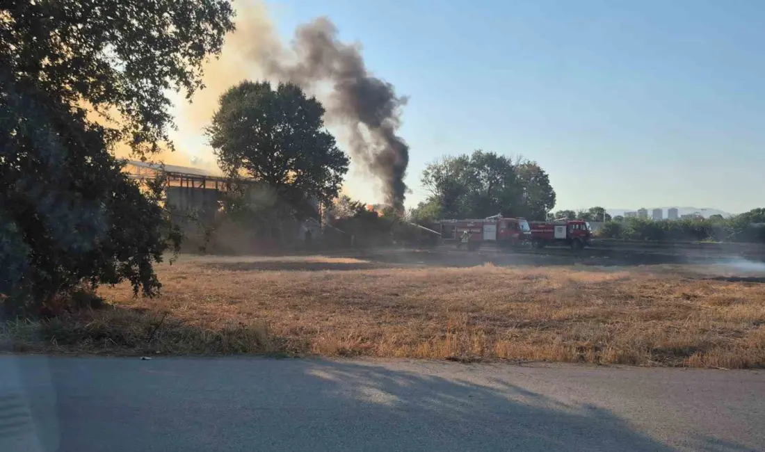 Bursa’da depo ve tarlalık alanda çıkan yangın, itfaiye ekiplerinin müdahalesiyle