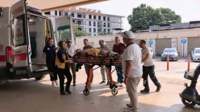 Bursa’nın İnegöl ilçesinde ormanlık alanda kontrolden çıkan traktör, yaklaşık 50