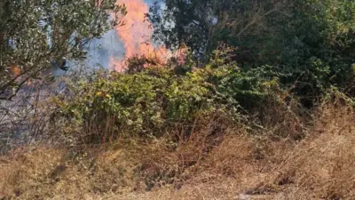 Bursa’nın Osmangazi ve Karacabey ilçelerinde çıkan iki ayrı ot yangını