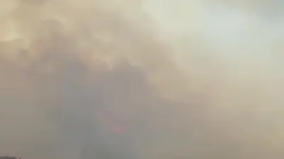 Bursa’nın Nilüfer ilçesinde otluk alanda başlayan ve tarım alanlarına da