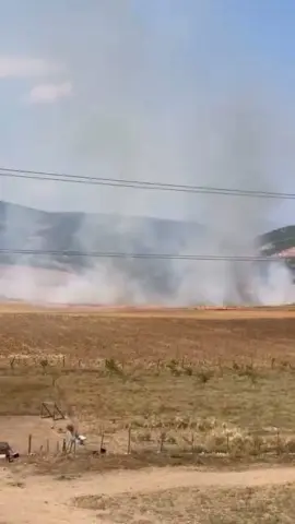 Bursa’nın İnegöl ilçesinde tarlalık alanı ateşe veren 16 yaşındaki şüpheli,
