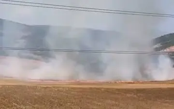 Bursa’nın İnegöl ilçesinde tarlalık alanı ateşe veren 16 yaşındaki şüpheli,