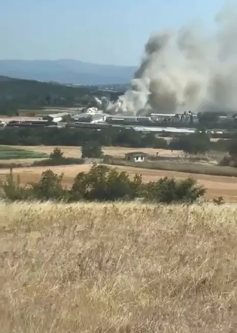 Bursa’nın Mudanya ilçesinde tavuk çiftliğinde yangın çıktı. Kısa sürede olay