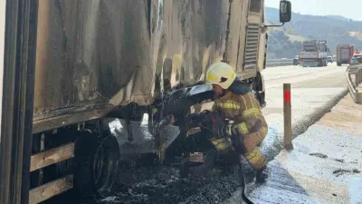 İstanbul’dan Bursa istikametine seyir halinde olan canlı hayvan nakil aracında