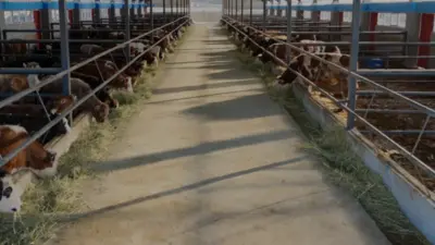 Tarım ve Orman Bakanlığı, 688 milyon 200 bin liralık tarımsal