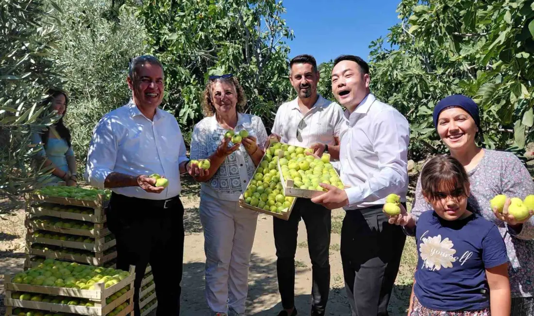 Çin’de milyonlarca takipçiye ulaşan fenomen çift Da Hu ve Aisha,