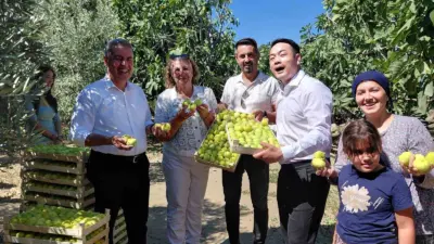 Çin’de milyonlarca takipçiye ulaşan fenomen çift Da Hu ve Aisha,