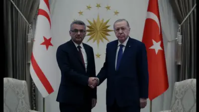 Cumhurbaşkanı Erdoğan, Girne açıklarında batan gemi nedeniyle KKTC liderleri ile