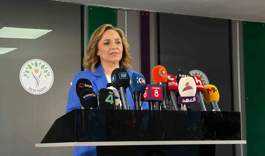Halkların Eşitlik ve Demokrasi Partisi (DEM Parti) Sözcüsü Ayşegül Doğan,