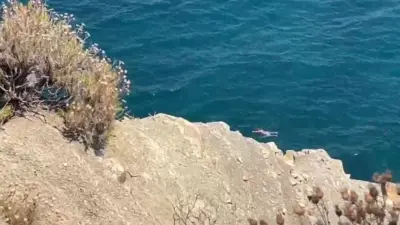 Bursa’nın Mudanya ilçesine bağlı Trilye Çamlık Tepesi Mevkiinde meydana gelen