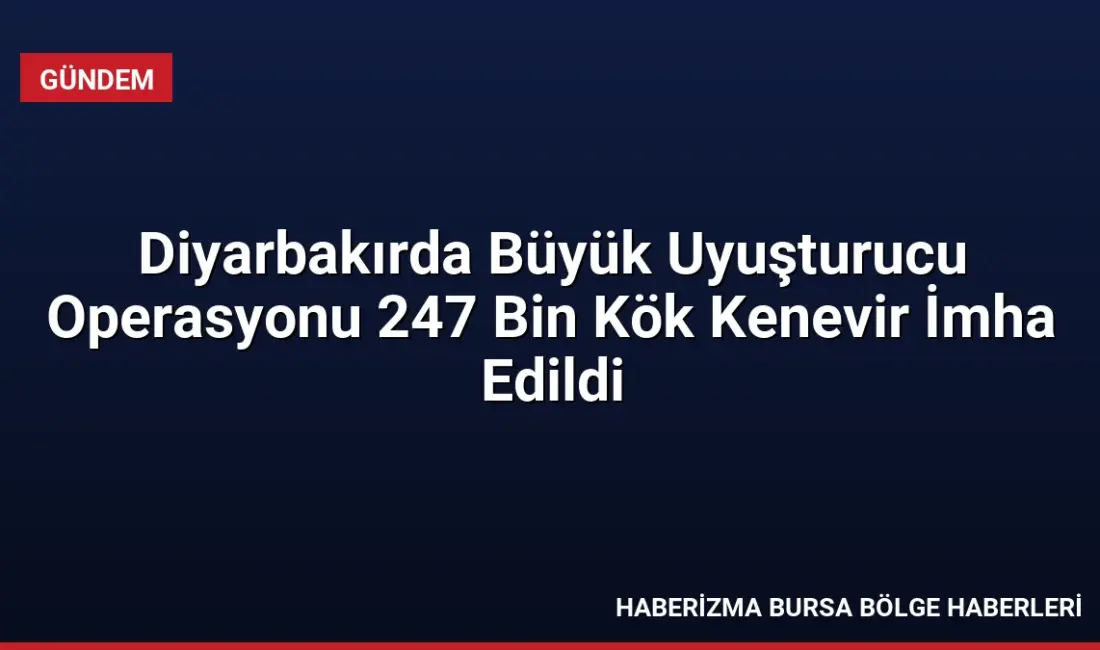 Diyarbakır'da 5 ilçede düzenlenen operasyonda 247 bin kök kenevir imha