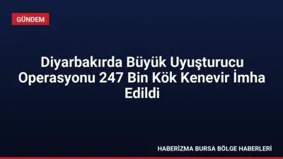 Diyarbakır'da 5 ilçede düzenlenen operasyonda 247 bin kök kenevir imha