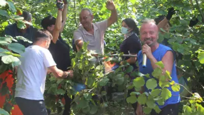 Ordu’da fındık hasadı yapan işçiler, alışılmışın dışında bir etkinlikle moral