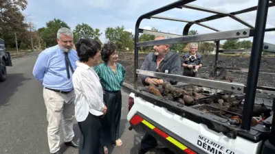 Fransa’nın güneyindeki Gironde bölgesindeki Le Porge köyünde etkili olan orman