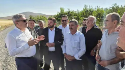 Niğde’nin Gümüşler beldesine bağlı Tumlu Yaylası’nda kiraz hasadı başladı. Yaklaşık