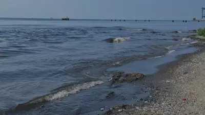 Ambarlı İleri Biyolojik Atık Su Arıtma Tesisi'nden Marmara Denizi'ne arıtılmamış