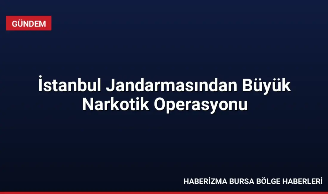İstanbul'da düzenlenen narkotik operasyonunda 257 bin 850 adet uyuşturucu hap