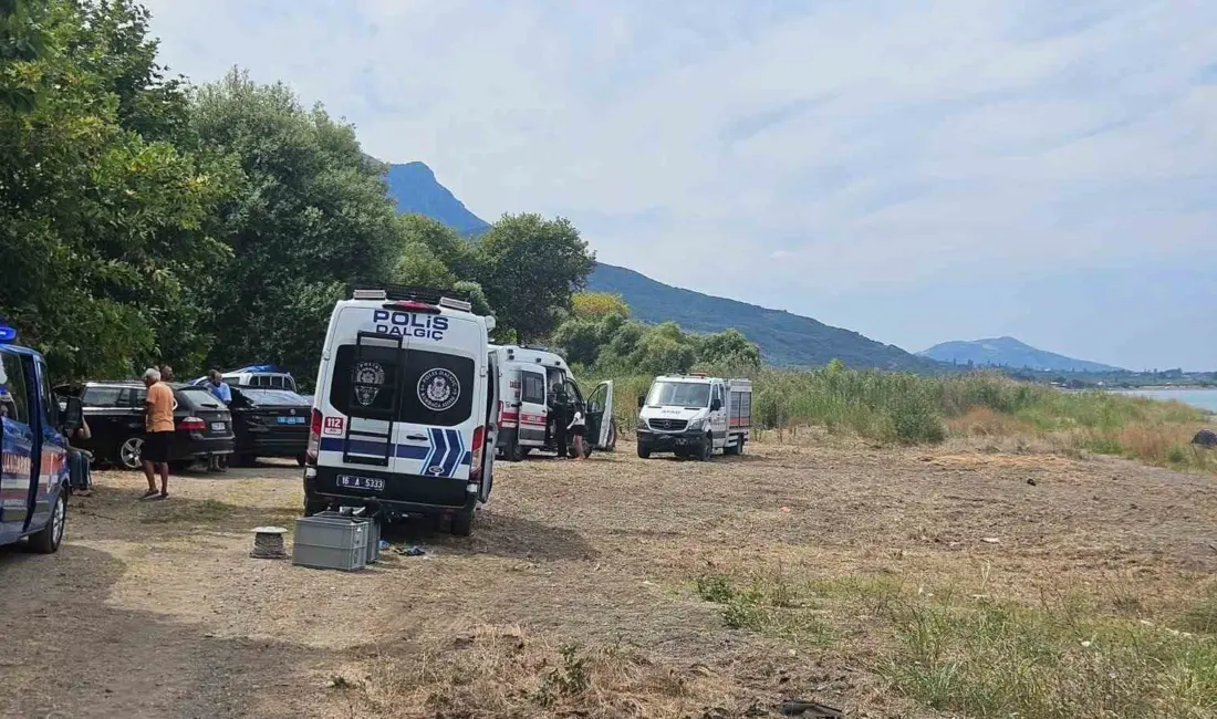 Bursa’nın Orhangazi ilçesinde İznik Gölü’nün Dutluca Sahili’nde serinlemek için suya