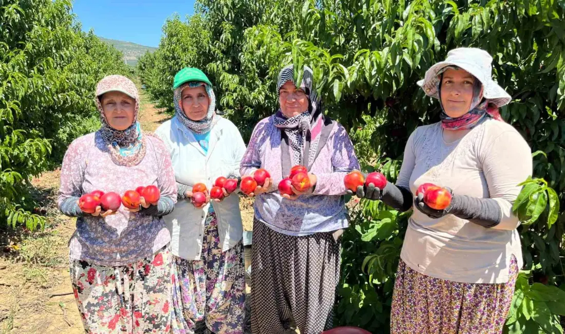 Tarihi ve turizmiyle olduğu kadar verimli tarım arazileriyle de öne
