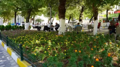 Adıyaman’ın Kahta ilçe Belediye Başkanı Mehmet Can Hallaç’ın seçim vaatleri