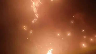 Bursa’nın Karacabey ilçesinde Canbalı Köprüsü’nün altındaki ormanlık alanda yangın çıktı.