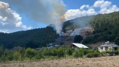 Bursa’nın Kestel ilçesinde tarım arazisinde başlayan ot yangını, kısa sürede