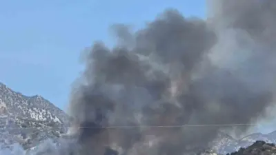 Kuzey Kıbrıs Türk Cumhuriyeti’nde Yamaçköy ile Tirmen köyleri arasındaki ormanlık