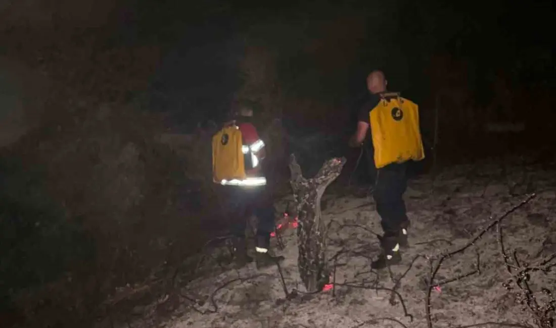 Kosova’nın Prizren şehri yakınlarında çıkan orman yangını, itfaiye ekiplerinin yaklaşık